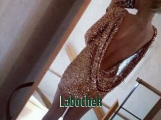 Labochek