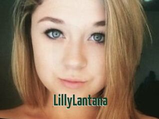 LillyLantana