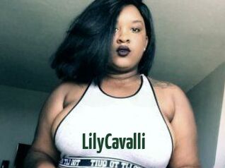 Lily_Cavalli