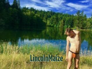 Lincoln_Maize