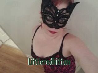 Littleredkitten