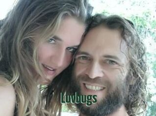 Luvbugs