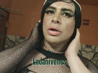 Ladanivenus