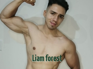 Liam_forest