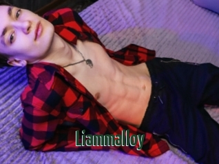 liammalloy Free Sex sites