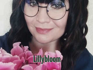 Lillybloom