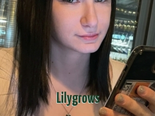 Lilygrows