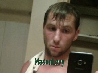Mason_Levy