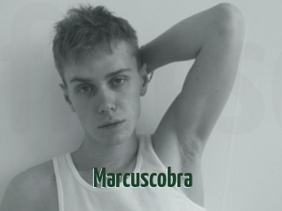 Marcuscobra