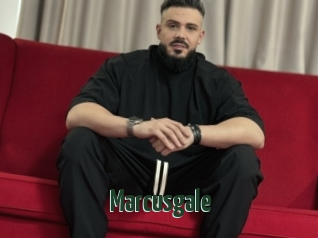 Marcusgale