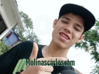 Molinascarloscam