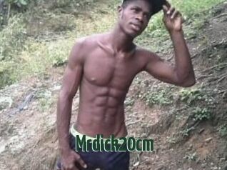 Mrdick20cm