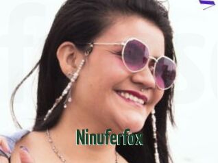 Ninuferfox