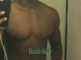 Noah_Grey