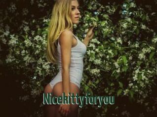 Nicekittyforyou