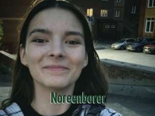 Noreenborer