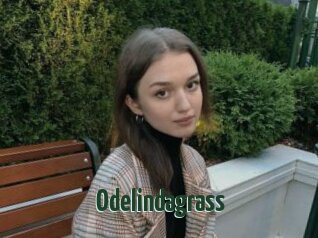 Odelindagrass