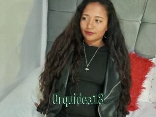 Orquidea18