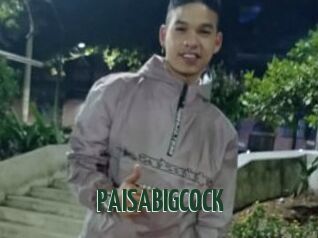 PAISABIGCOCK
