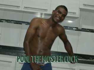 POOL_THE_MOSTER_COCK