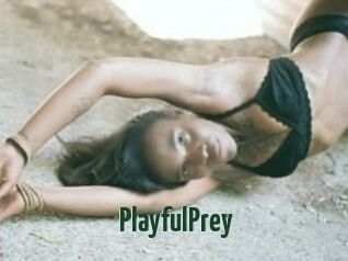 PlayfulPrey