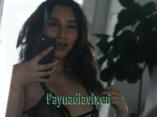 Paynadiavixen