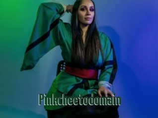 Pinkcheetodomain