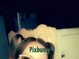 Pixbunny