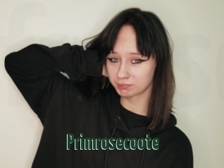 Primrosecoote
