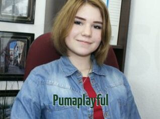 Pumaplayful