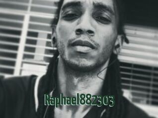 Raphael882303