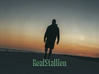 RealStallion