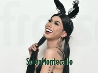 SolenMontecarlo