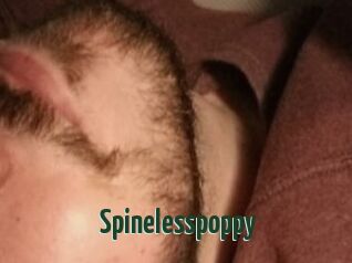 Spinelesspoppy