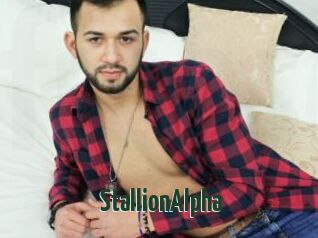 StallionAlpha