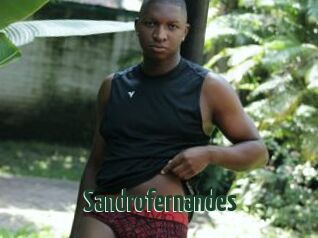 Sandrofernandes