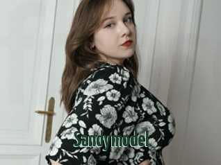 Sandymodel