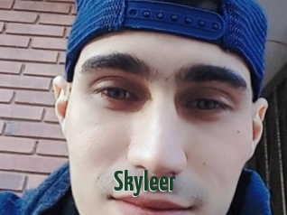 Skyleer
