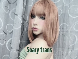 Soary_trans