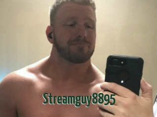 Streamguy8895