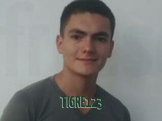 TIGRE_123