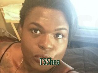 TS_Shea