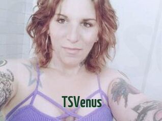 TS_Venus