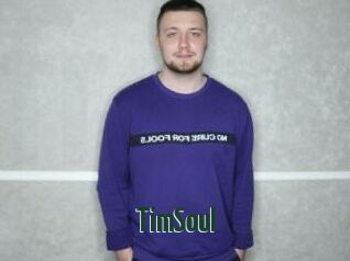 TimSoul