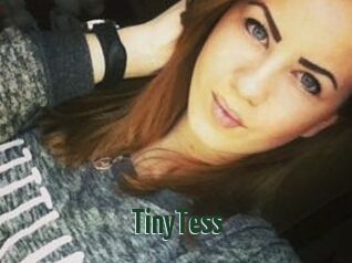 TinyTess