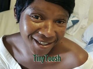 TinyToosh