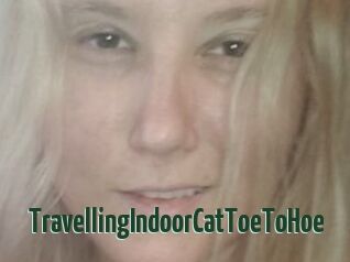 TravellingIndoorCatToeToHoe