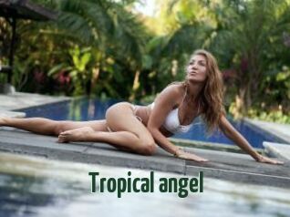 Tropical_angel