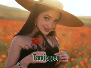 Tamilsgeo