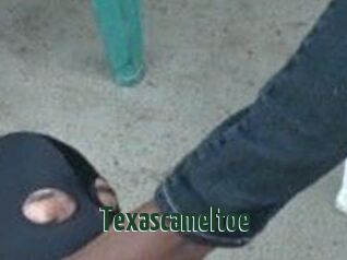 Texascameltoe